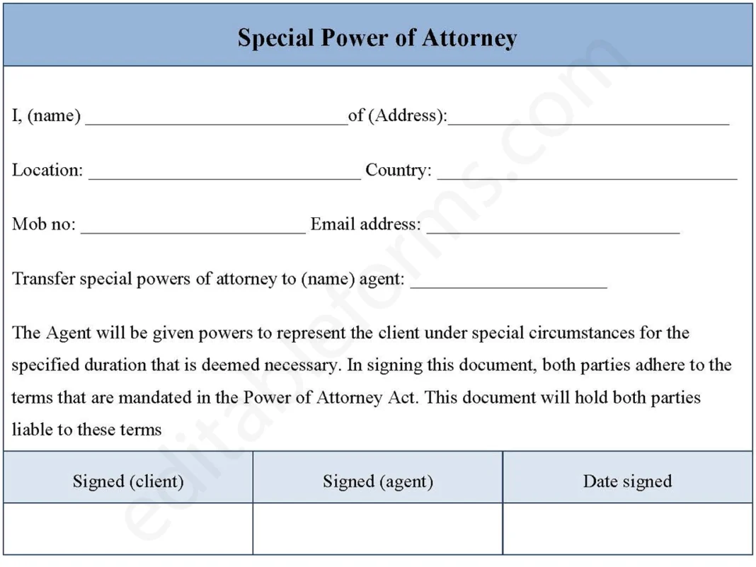 Special Power of Attorney Form