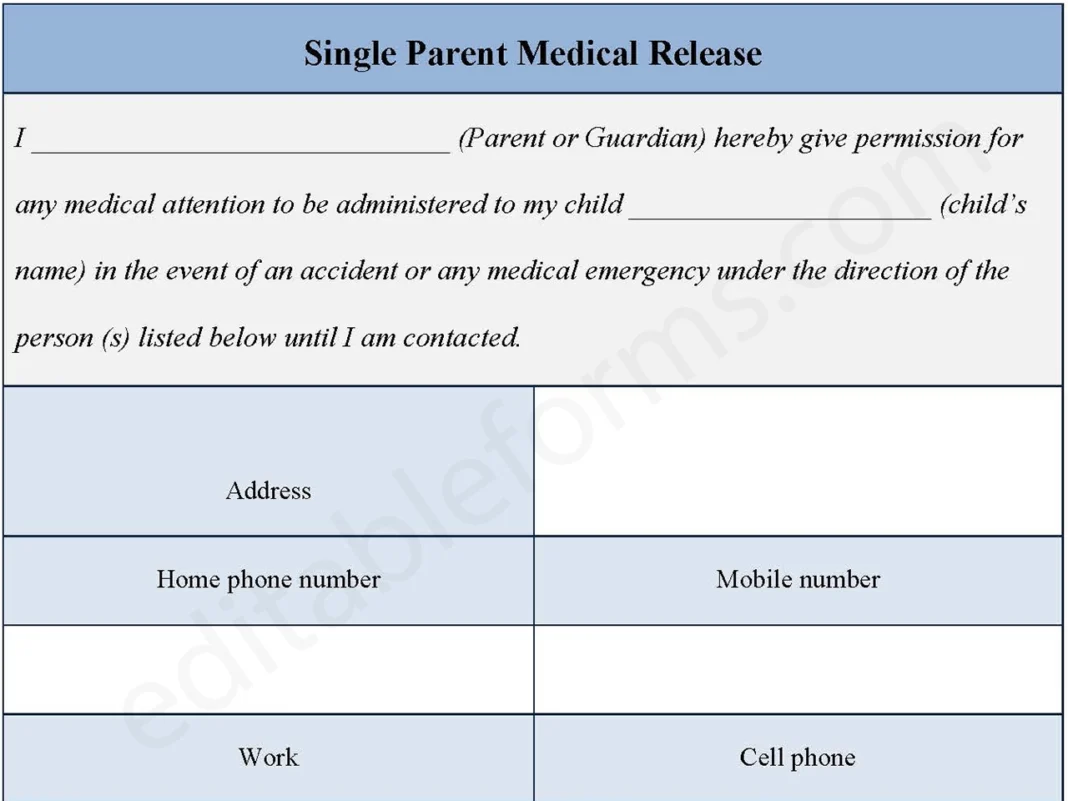 Single Parent Medical Release Form PDF
