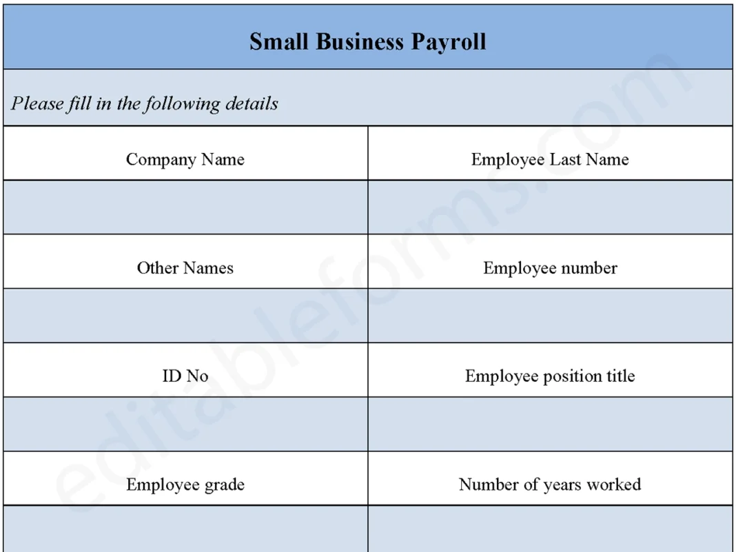 Small Business Payroll Form PDF